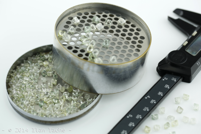 news_15032019_grib.png